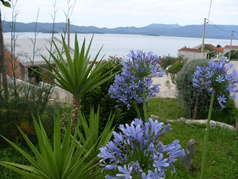 Apartmani More Komarna Esterno foto